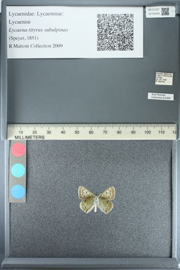 Media type: image;   Entomology 183493